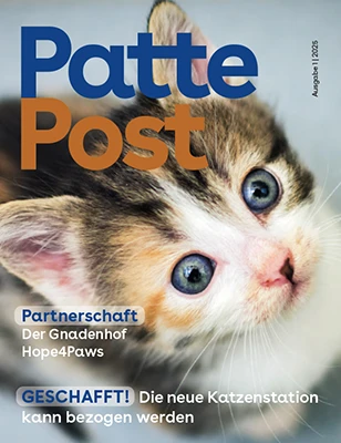 PattePost_1_2025_DE-1 Kopie